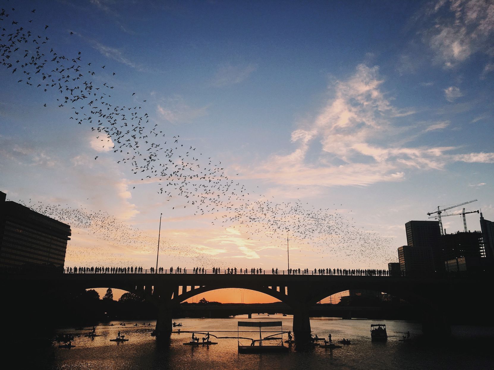 Congress Bridge's Secret